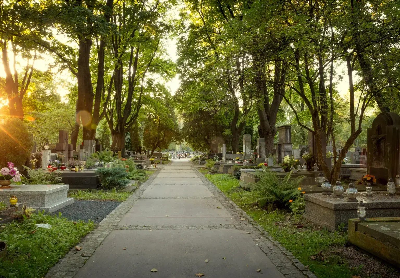 Friedhofsallee